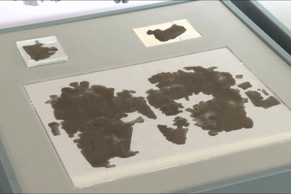 Zidanku_Silk_Manuscripts_Return_Home_After_79_Years video poster