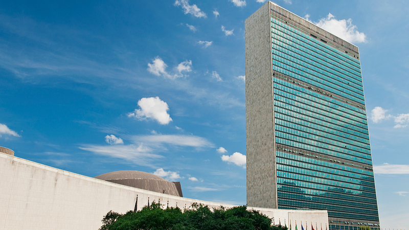 0OT59ZR6CVT1L59PZENK - Namaste Headlines Xi’s Message on Intl Solidarity Day for Palestinian People