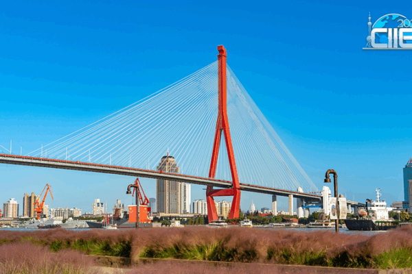 Yangpu Riverfront: Shanghai’s Industrial Past Meets Chill Riverside Vibe video poster