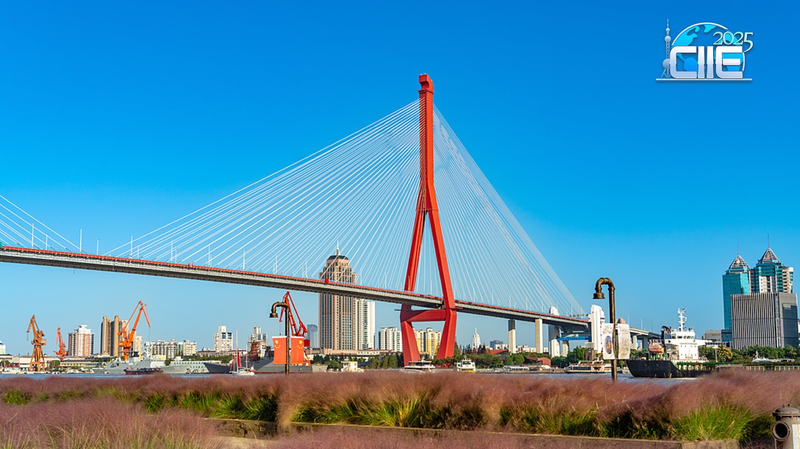 1KIAMGTCUXYQ285DUCND - Namaste Headlines Yangpu Riverfront: Shanghai’s Industrial Past Meets Chill Riverside Vibe video poster