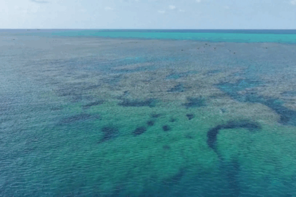 2025_Huangyan_Dao_Waters_Ecology_Report_Released