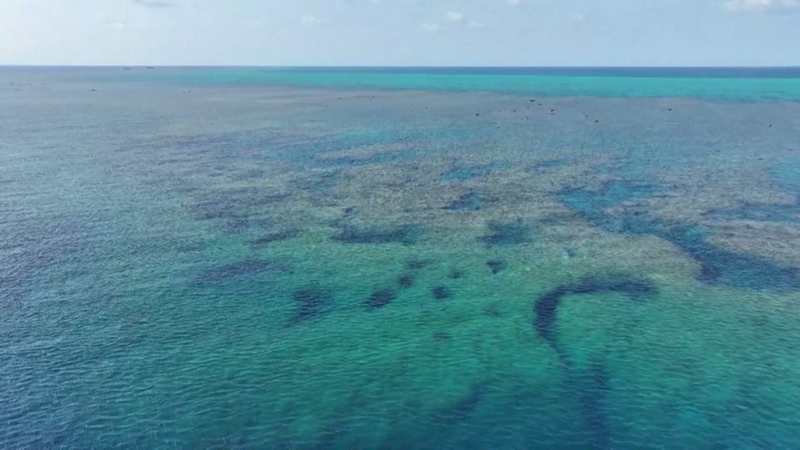 2025_Huangyan_Dao_Waters_Ecology_Report_Released - Namaste Headlines 2025_Huangyan_Dao_Waters_Ecology_Report_Released