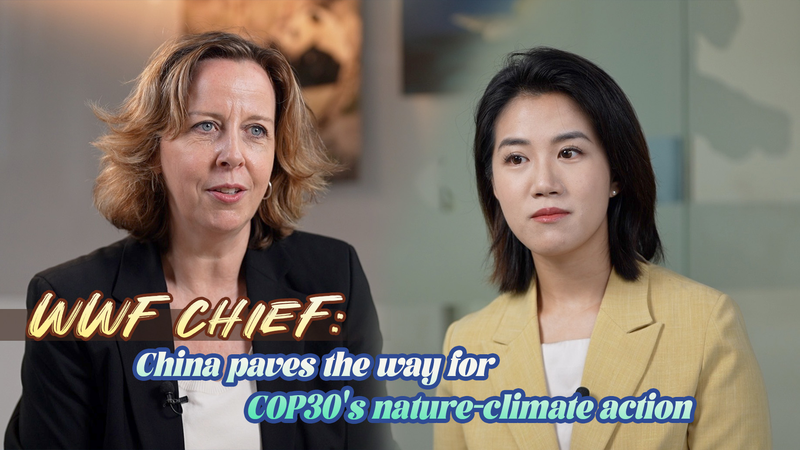 WWF Chief Hails China’s Role in Merging Nature & Climate at COP30 video poster