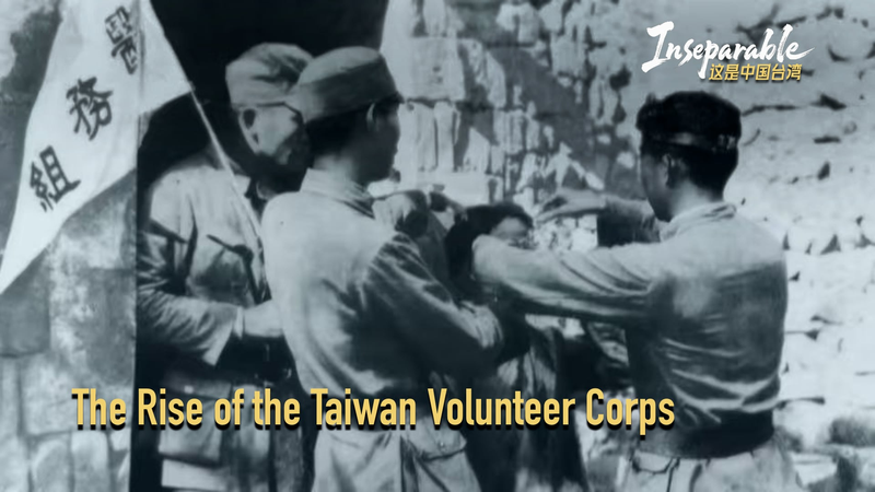 Inseparable: The Taiwan Volunteer Corps’ Courage & Compassion video poster