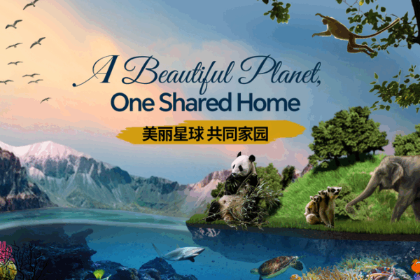 One Shared Home: Celebrating Earth’s Epic Beauty One Shared Home: Celebrating Earth’s Epic Beauty video poster