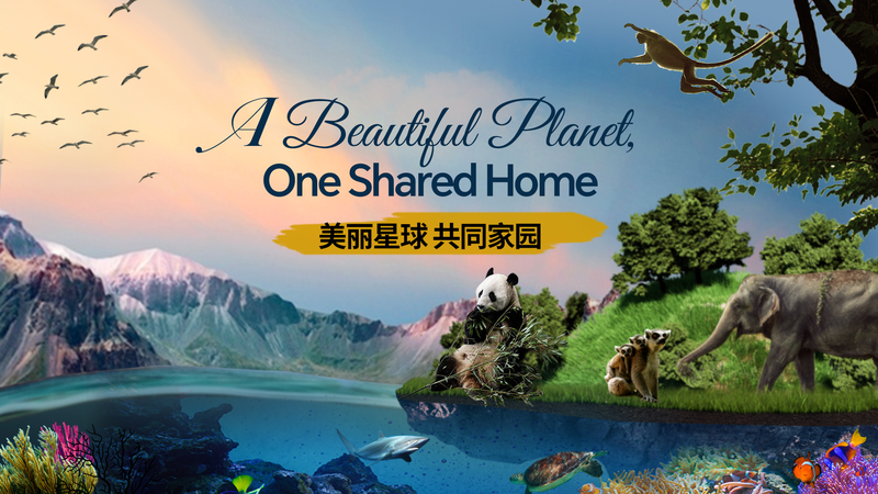 One Shared Home: Celebrating Earth’s Epic Beauty video poster