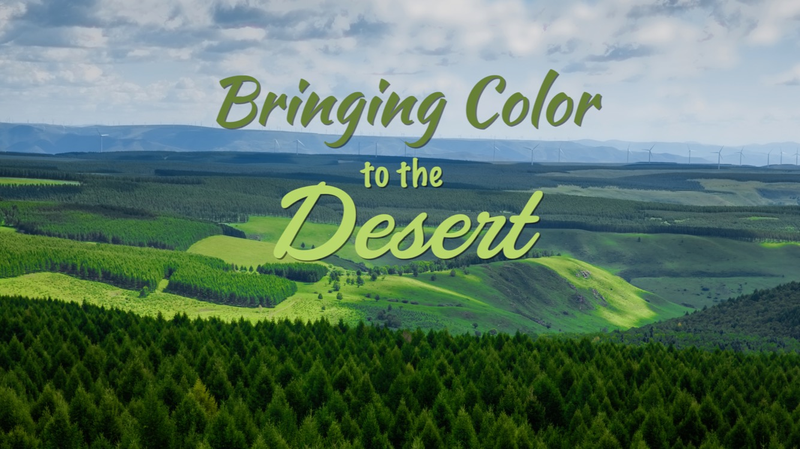 Greening the Desert: China’s Epic Shift from Sand to Forest 🌿 video poster