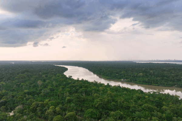 COP30 Wrap: Wins and Hurdles in Financing the 1.5°C Goal