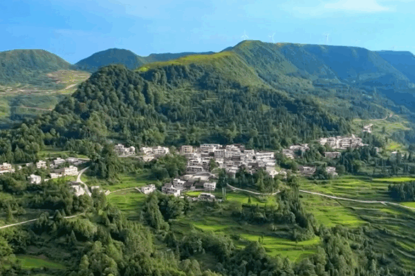 Anji County’s Eco Makeover: From Quarries to Bamboo & Tea Boom