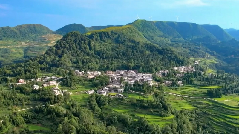 Anji County’s Eco Makeover: From Quarries to Bamboo & Tea Boom