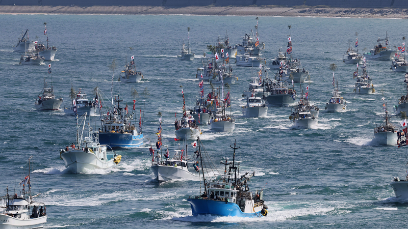 Japan's Seafood Sector Hit Hard by China Market Loss 🐟