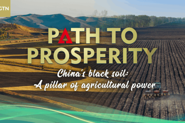 Black Soil Magic: Fueling the Chinese mainland’s Grain Supply