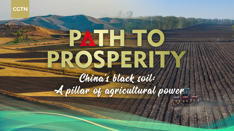 Black Soil Magic: Fueling the Chinese mainland’s Grain Supply