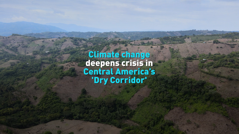 Climate Change Threatens Central America’s Dry Corridor: What You Need to Know video poster