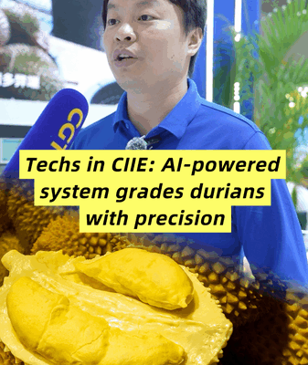 AI___CT_Scans_Revolutionize_Durian_Grading_at_CIIE video poster