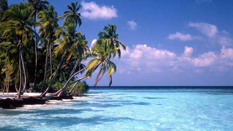 AQRA41N0X922KQMIMAIJ - Namaste Headlines Maldives Introduces Gen Z Smoking Ban 🚭