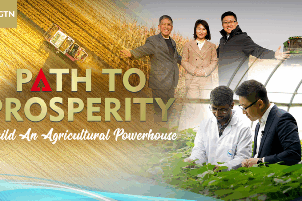 Agri_Tech_Powers_Path_to_Agricultural_Powerhouse_in_the_Chinese_Mainland video poster