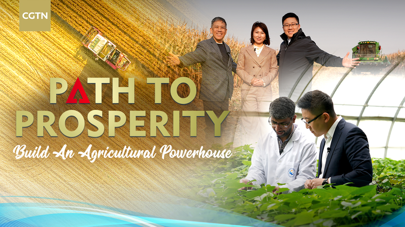 Agri_Tech_Powers_Path_to_Agricultural_Powerhouse_in_the_Chinese_Mainland video poster