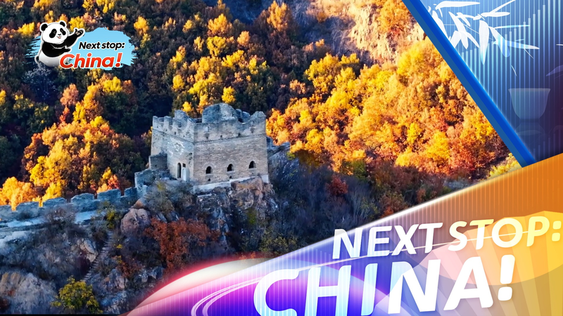Autumn_Magic_at_Banchaoyu__Aerial_Views_of_the_Great_Wall video poster