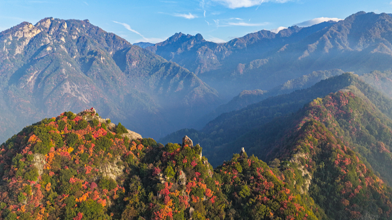 Live: Breathtaking Views of Cuihua Mountain’s Natural Oxygen Bar video poster