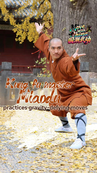 Master Miaodu’s Gravity-Defying Kung Fu on Songshan Mountain video poster