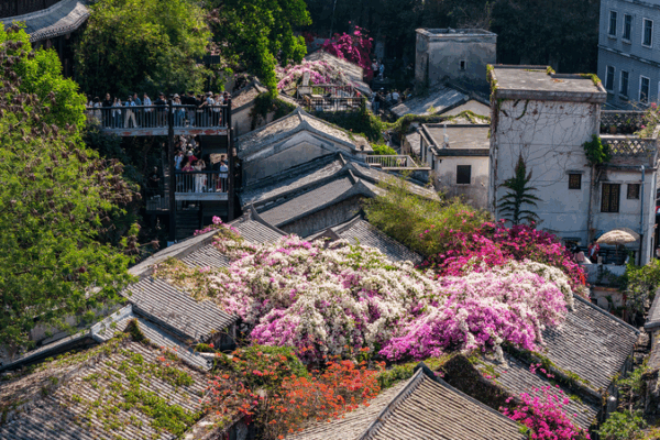 Gankeng Hakka Town Sparks Vibes at 15th National Games 🏃✨ video poster
