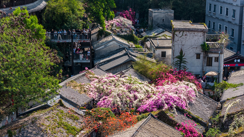 C5DOM7NCF6EVKXKLVVIH - Namaste Headlines Gankeng Hakka Town Sparks Vibes at 15th National Games 🏃✨ video poster