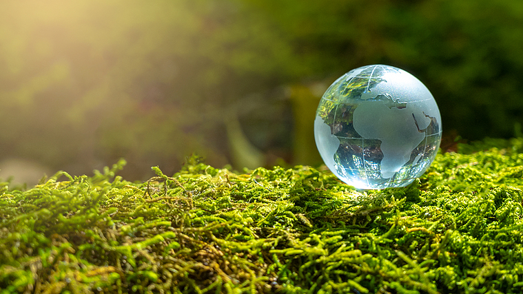 CGTN_Poll__Global_Call_for_Urgent_Climate_Governance