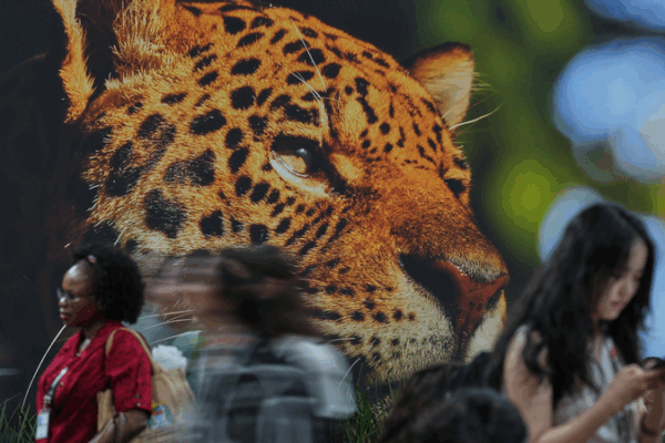 COP30_Spotlight__Why_Climate_Change_Is_a_Health_Crisis