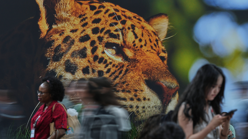 COP30_Spotlight__Why_Climate_Change_Is_a_Health_Crisis