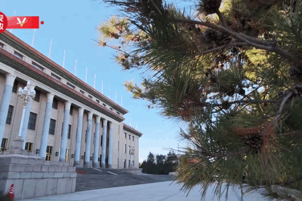 Xi Jinping Welcomes Tonga’s King in Beijing Ceremony