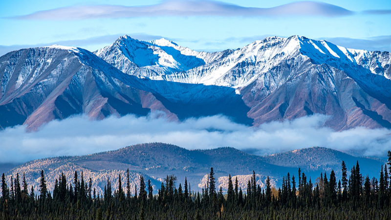 China_Reopens_Group_Tours_to_Canada__What_Young_Travelers_Need_to_Know