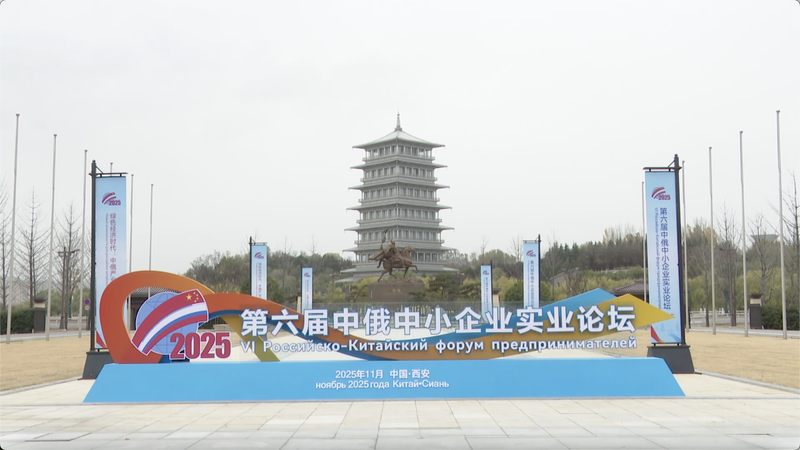 China_Russia_SMEs_Forge_Green_Economy_Partnerships_in_Xi_an