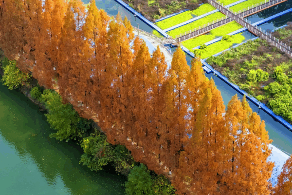 China_unveils_new_eco_monitoring_rules_for_2026_rollout