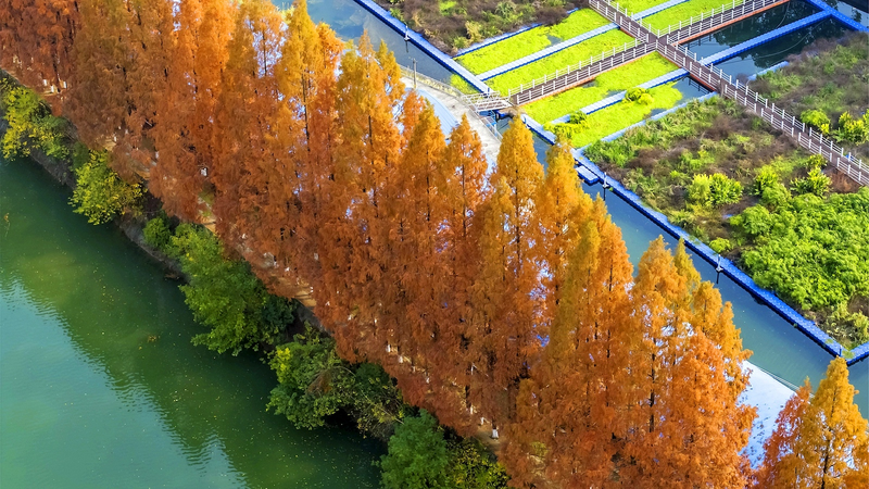 China_unveils_new_eco_monitoring_rules_for_2026_rollout - Namaste Headlines China_unveils_new_eco_monitoring_rules_for_2026_rollout