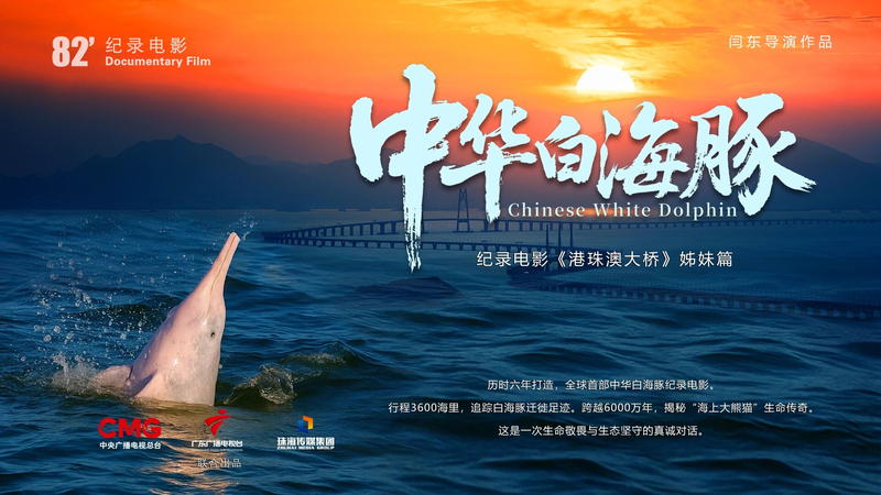 Chinese_White_Dolphin_Documentary_Releases_Dec_12 - Namaste Headlines Chinese_White_Dolphin_Documentary_Releases_Dec_12