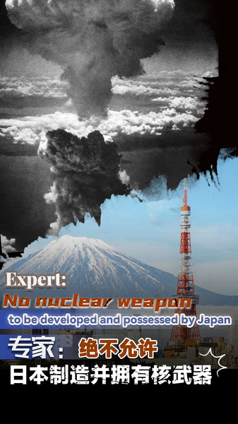 Expert_Warns_Japan_s_Nuclear_Plans_Could_Be_Its__Moment_of_Annihilation_ video poster