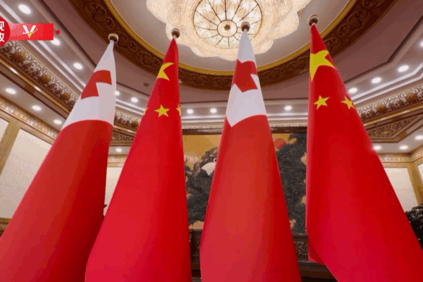 Xi Jinping Welcomes Tonga’s King in Beijing 🤝