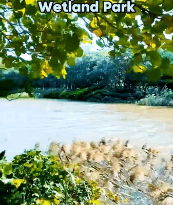 Wuyuanhe Wetland Park: Haikou’s Natural Oxygen Bar 🌿 video poster