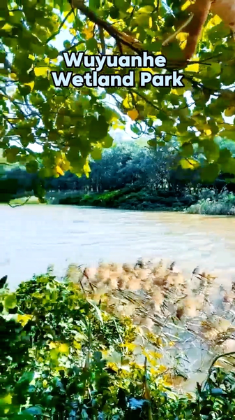 FQTOK8WAC8D3O5ASHZZB - Namaste Headlines Wuyuanhe Wetland Park: Haikou’s Natural Oxygen Bar 🌿 video poster