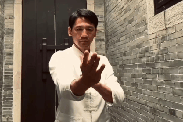 Foshan_Wing_Chun__The_Martial_Art_Blending_Power___Grace video poster