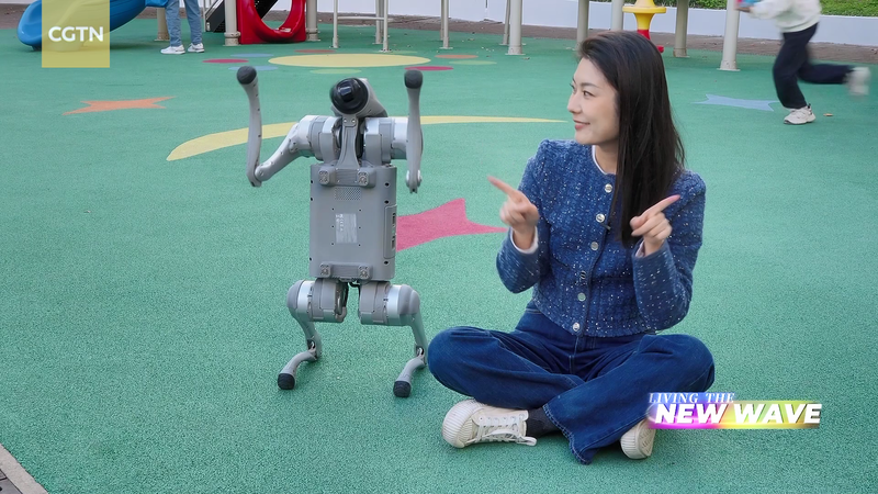 From_Plush_Toys_to_Holograms__AI_s_Growing_World_of_Companionship video poster