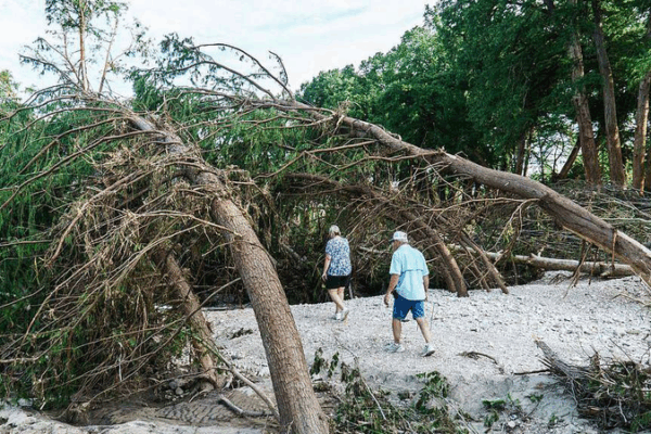 G20_Leaders_Unite_on_Climate_Resilience_and_Sustainable_Growth
