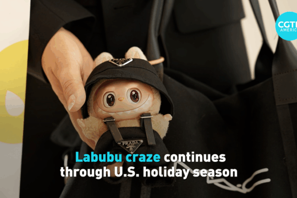 Labubu Craze: The Must-Have US Holiday Doll 🎁 video poster