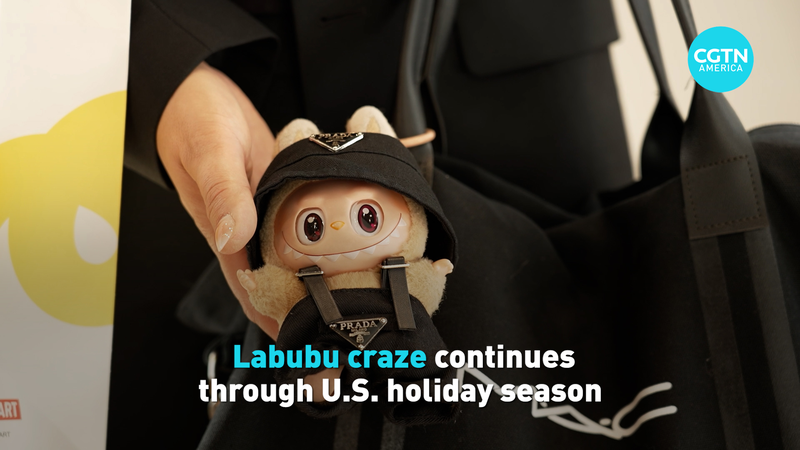 Labubu Craze: The Must-Have US Holiday Doll 🎁 video poster