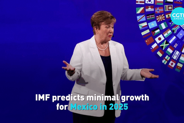 IMF_Forecasts_Sluggish_Growth_for_Mexico_in_2025 video poster