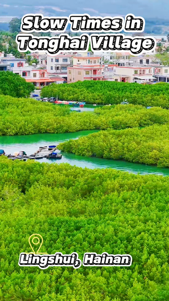 Island_Vibes__Slow_Living_in_Tonghai_Village__Lingshui video poster