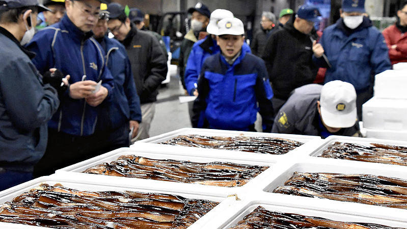 Japanese_Fisheries_Call_for_Government_Explanation_After_Export_Dispute