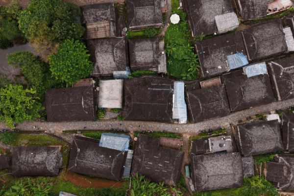 Jingmai_Mountain_s_Ancient_Tea_Forest__A_Blueprint_for_Sustainable_Living video poster