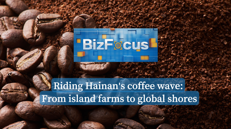 Hainan’s Coffee Revolution: Brewing a Global Buzz video poster